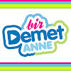 What could Bir Demet Anne buy with $100 thousand?