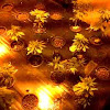 fedemoncofa