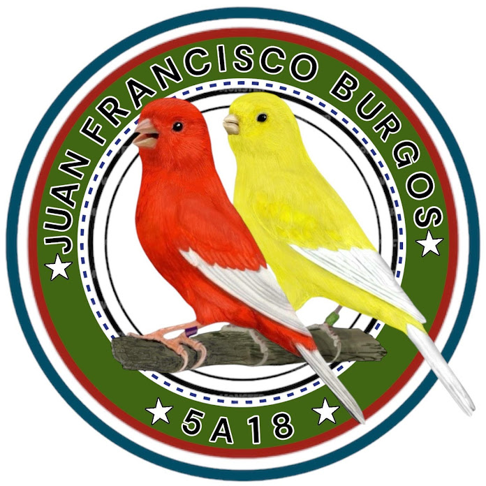 Juan Francisco Burgos Net Worth & Earnings (2026)