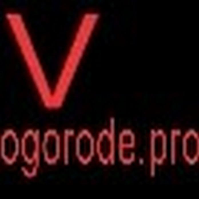vogorode.pro Net Worth & Earnings (2024)
