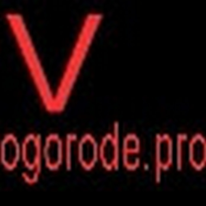 vogorode.pro Net Worth & Earnings (2024)