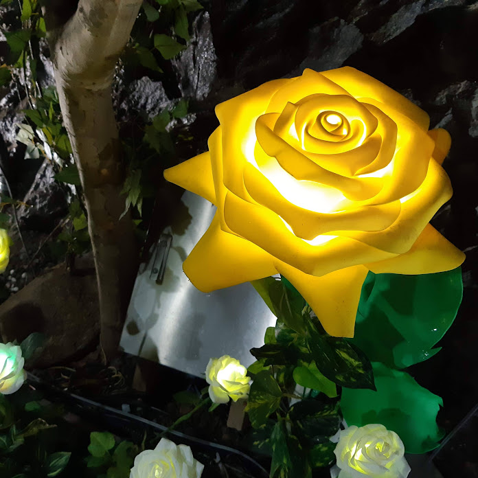 옛날TV Net Worth & Earnings (2026)