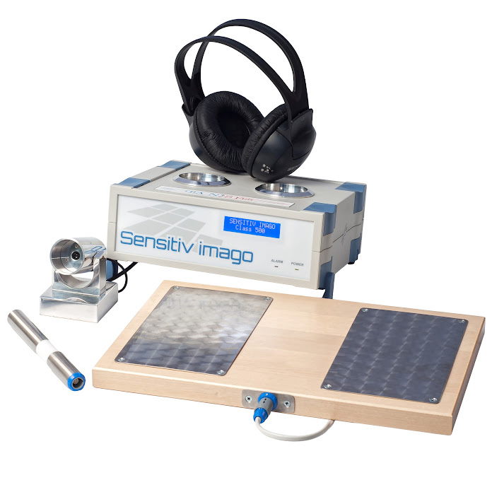 Sensitiv Imago Net Worth & Earnings (2026)