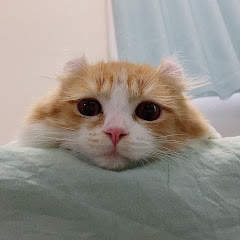 Arumihoiruラジオ局