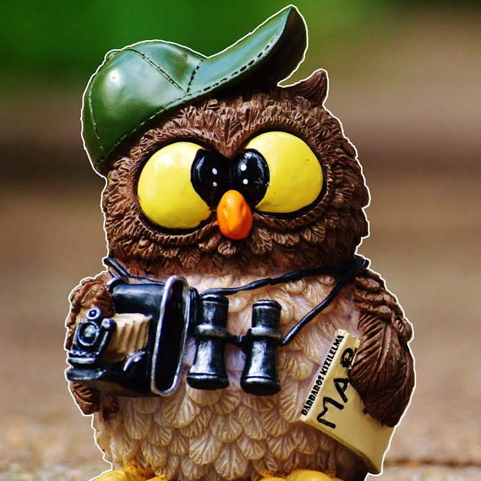 Barbaros Kızılelma Net Worth & Earnings (2026)