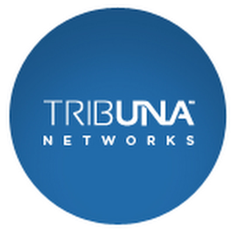 tv networks net worth