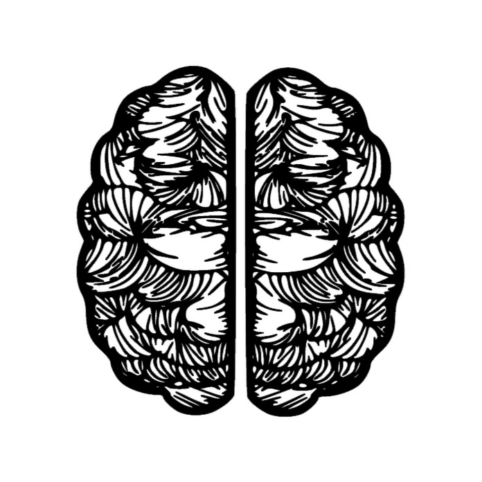 Nie wiem, ale się dowiem! Net Worth & Earnings (2025)