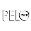 What could pelomusicgroup buy with $5.91 million?
