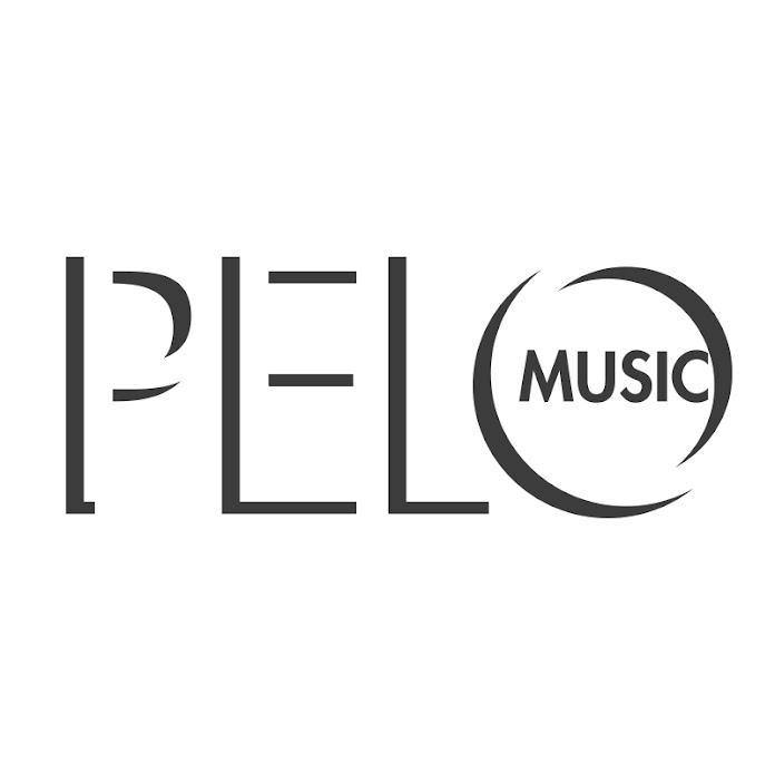 pelomusicgroup Net Worth & Earnings (2026)