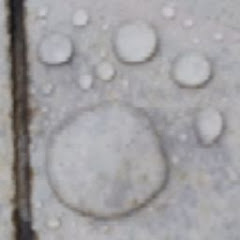 TOA村長