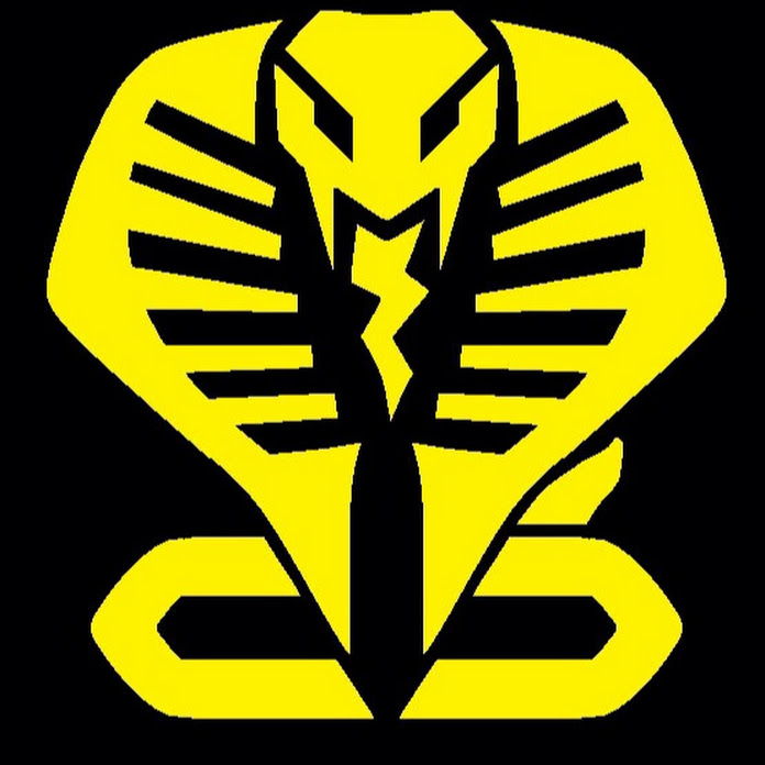 仮面ライダーサウンド Net Worth & Earnings (2026)