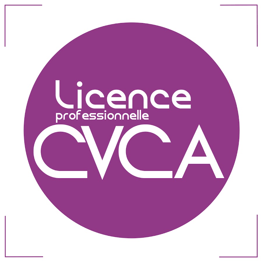 Licence Pro Mention Communication Et Valorisation De La Création Artistique