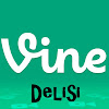 What could Vine Delisi buy with $304.78 thousand?