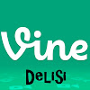 What could Vine Delisi buy with $304.8 thousand?