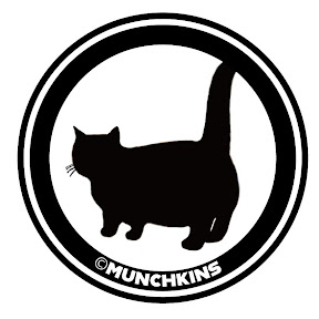 マンチカンズTV - Munchkins’TV ユーチューバー
