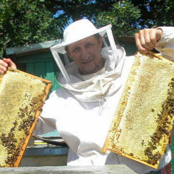 bulatov100 Net Worth & Earnings (2026)