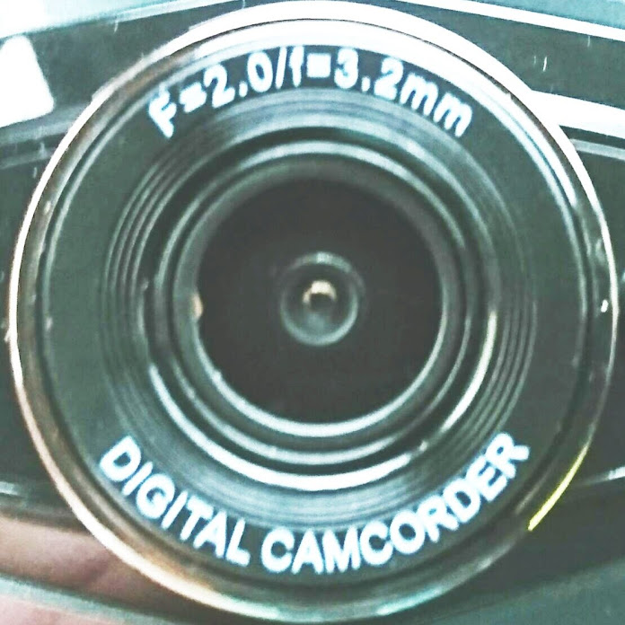 危険車両 ドラレコ記録 Net Worth & Earnings (2026)