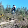 Aranha Extreme