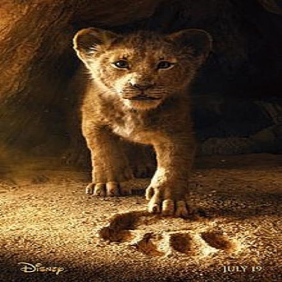 Il Re Leone 2 Film Completo In Italiano Streaming