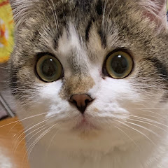 キサラギキサラギ