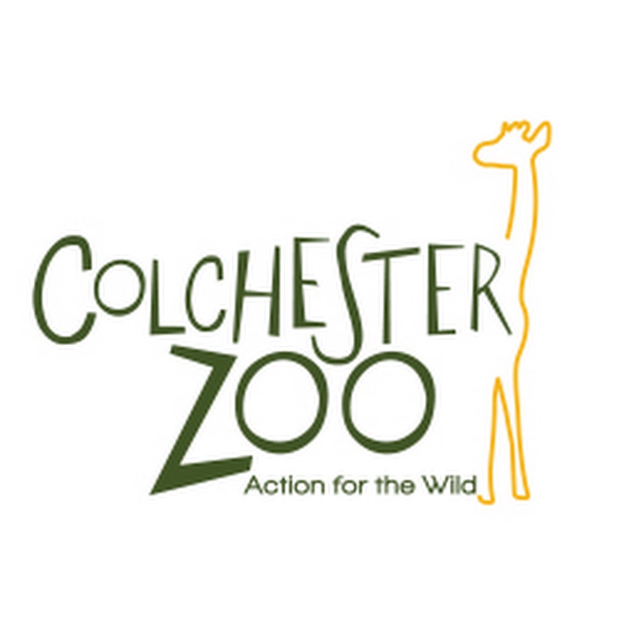 Colchester Zoo YouTube