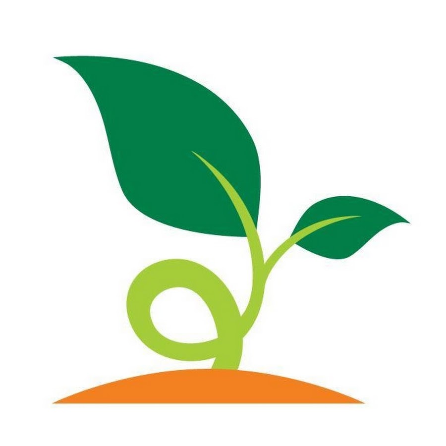 Grow Plant - YouTube