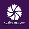 What could sefamerve buy with $100 thousand?
