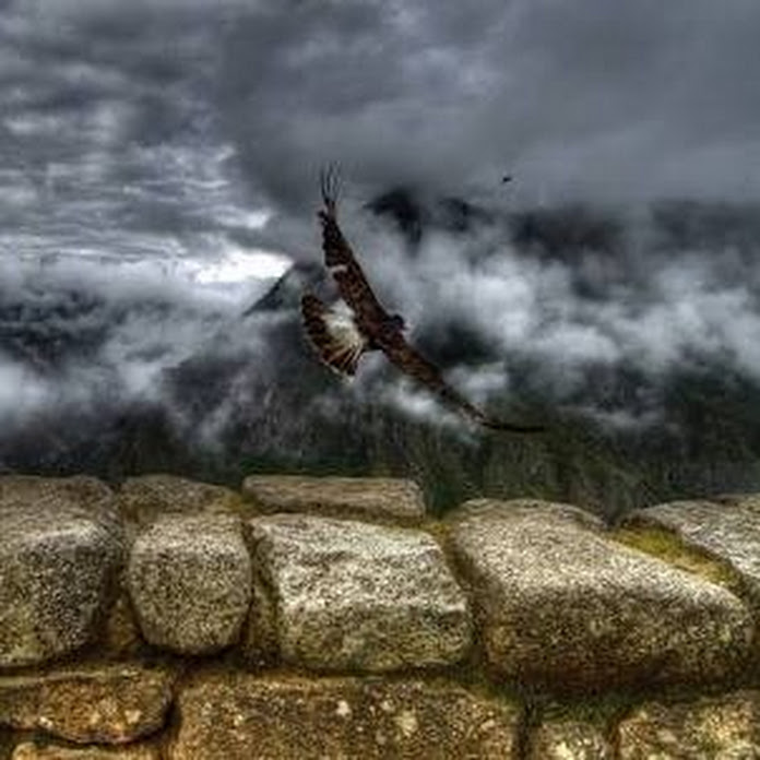 Royal panoo Net Worth & Earnings (2026)