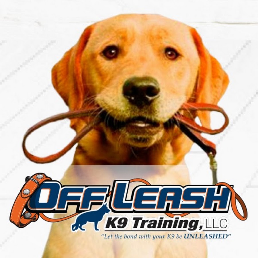 Off Leash K9 Training, YouTube