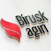 What could Birusk Agiri buy with $537.41 thousand?