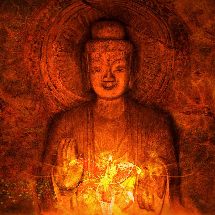 Nhân Quả Báo Ứng Không Sai Một Ly Net Worth & Earnings (2025)