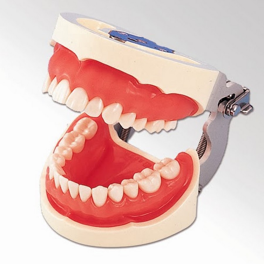 NISSIN DENTAL PRODUCTS INC. YouTube