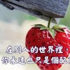 心靈舒果