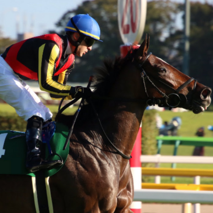 24 EnjoyTimes Net Worth & Earnings (2026)