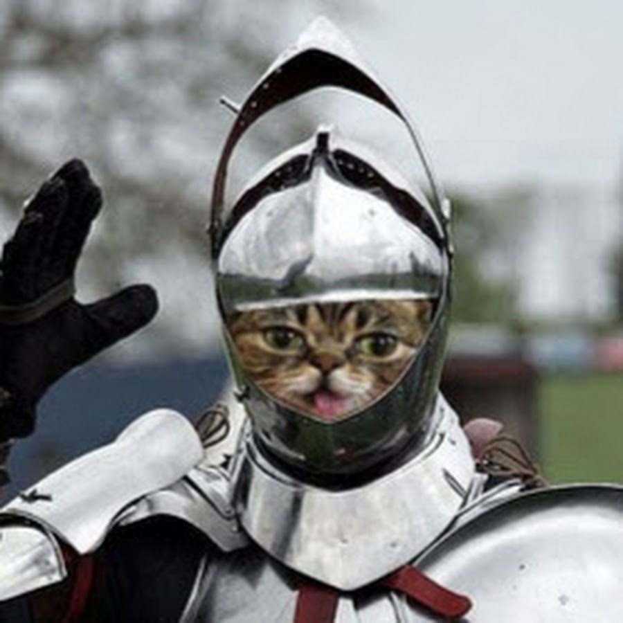 Cat Knight YouTube