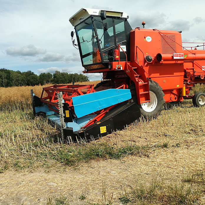 Robert Wilkowski Net Worth & Earnings (2026)