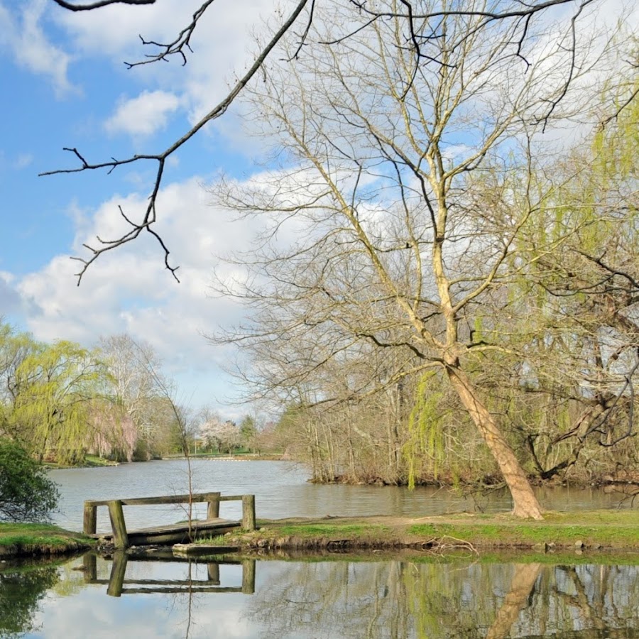 VT Dendrology YouTube