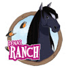 What could Lenas Ranch Offizielle buy with $255 thousand?