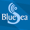 What could BLUESEA channel buy with $100 thousand?