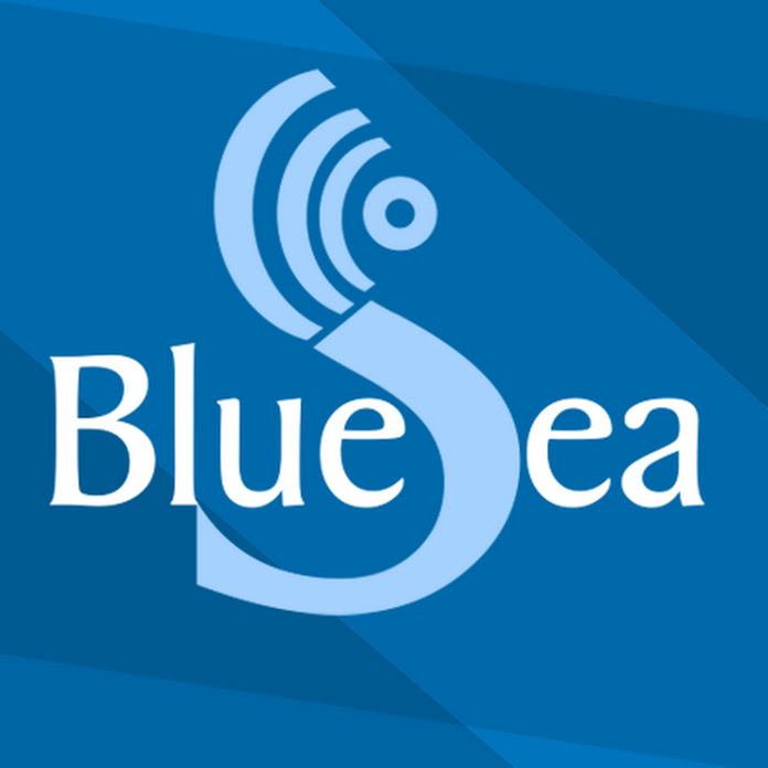 BLUESEA channel Net Worth & Earnings (2024)