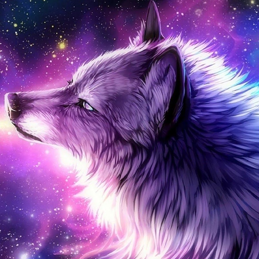 Galaxy Wolf - YouTube