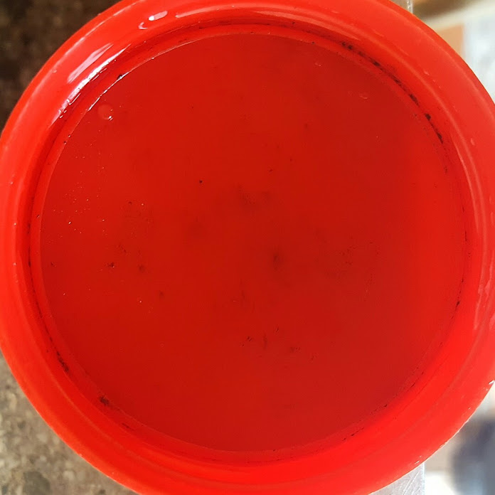 Buen Andar Net Worth & Earnings (2026)