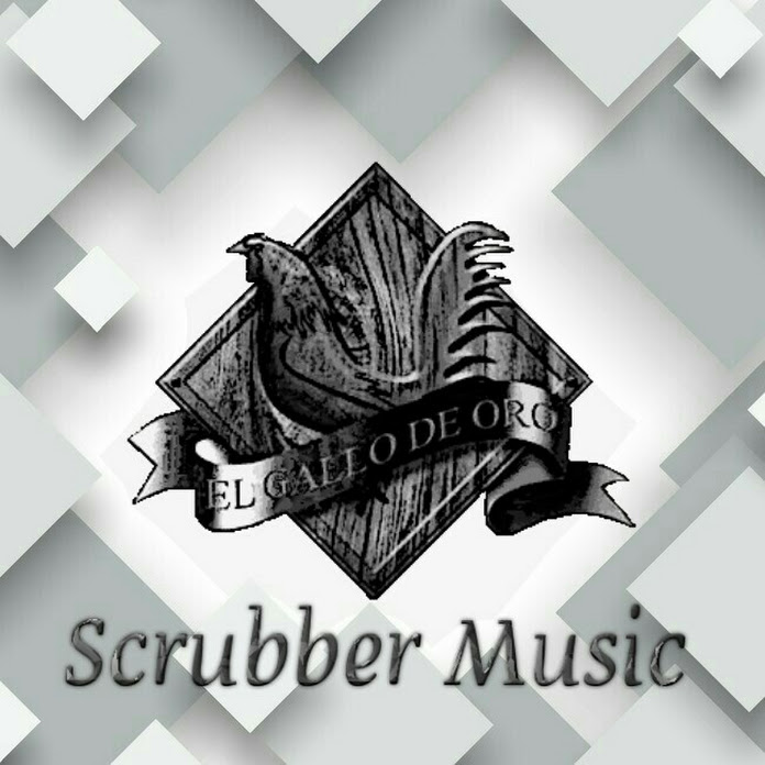 Scrubber Music VE Net Worth & Earnings (2024)