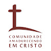 What could Comunidade Amadurecendo em Cristo buy with $100 thousand?