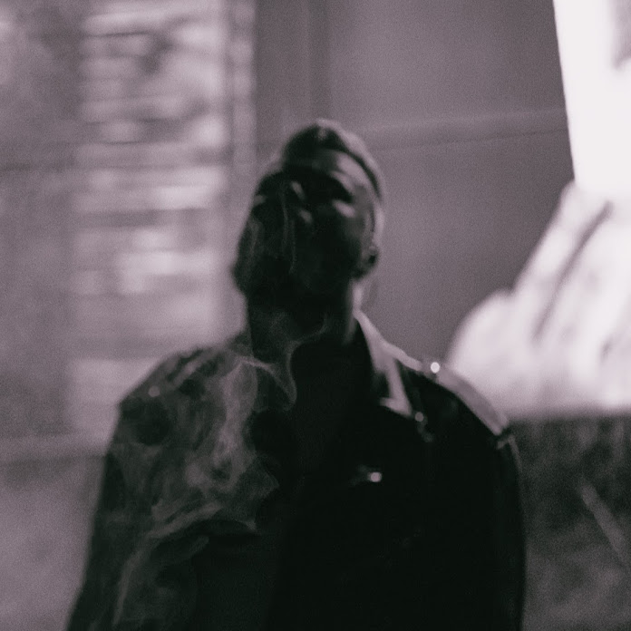 Plamenev Net Worth & Earnings (2026)