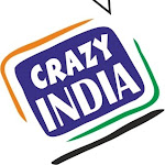 Crazy India Net Worth
