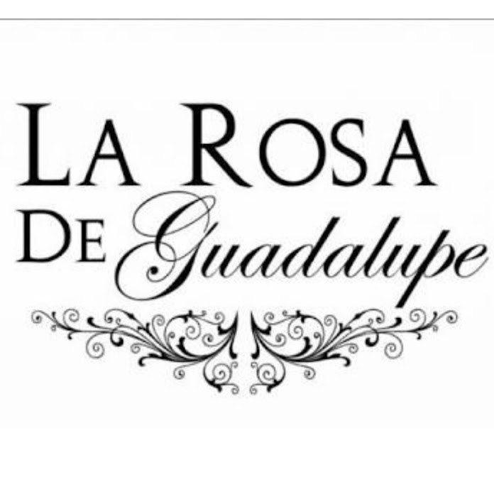 La Rosa de Guadalupe Net Worth & Earnings (2022)