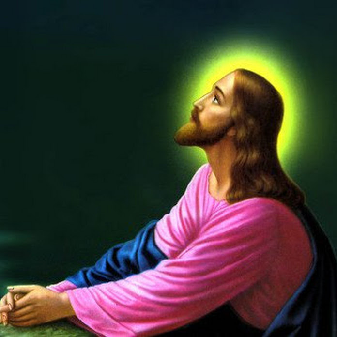 Bible Books Net Worth & Earnings (2026)