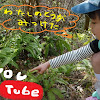 Kids Enjoy���å����󥸥祤 YouTube
