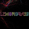 What could Grupo LemonGrass buy with $100 thousand?